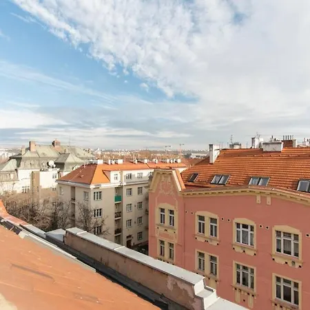 Apartment Roof Flat Near Center *