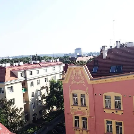 Roof Flat Near Center *